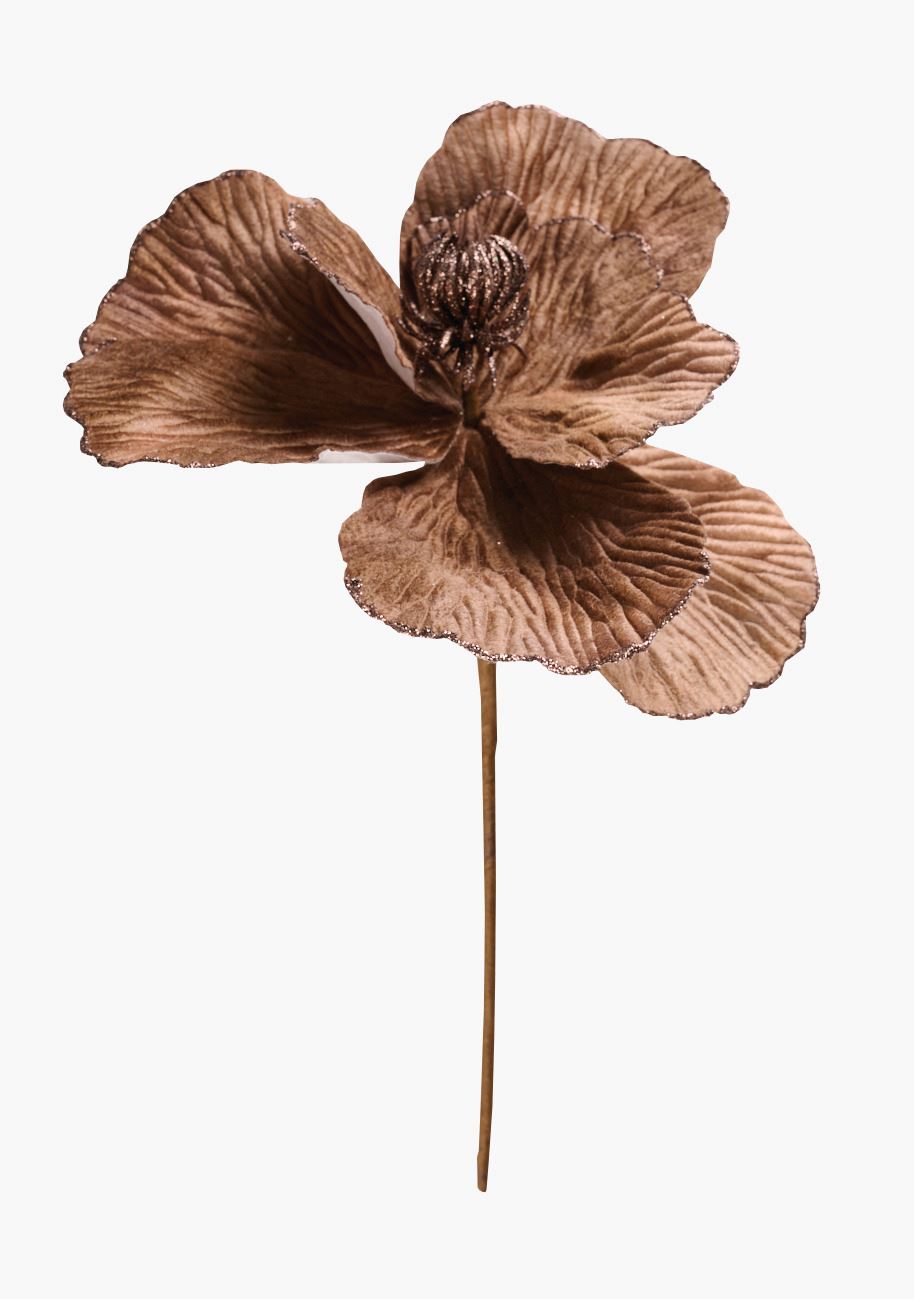 Dekoration ökenrosa - 9,5x6,5x33,5 cm ökenrosa - 1