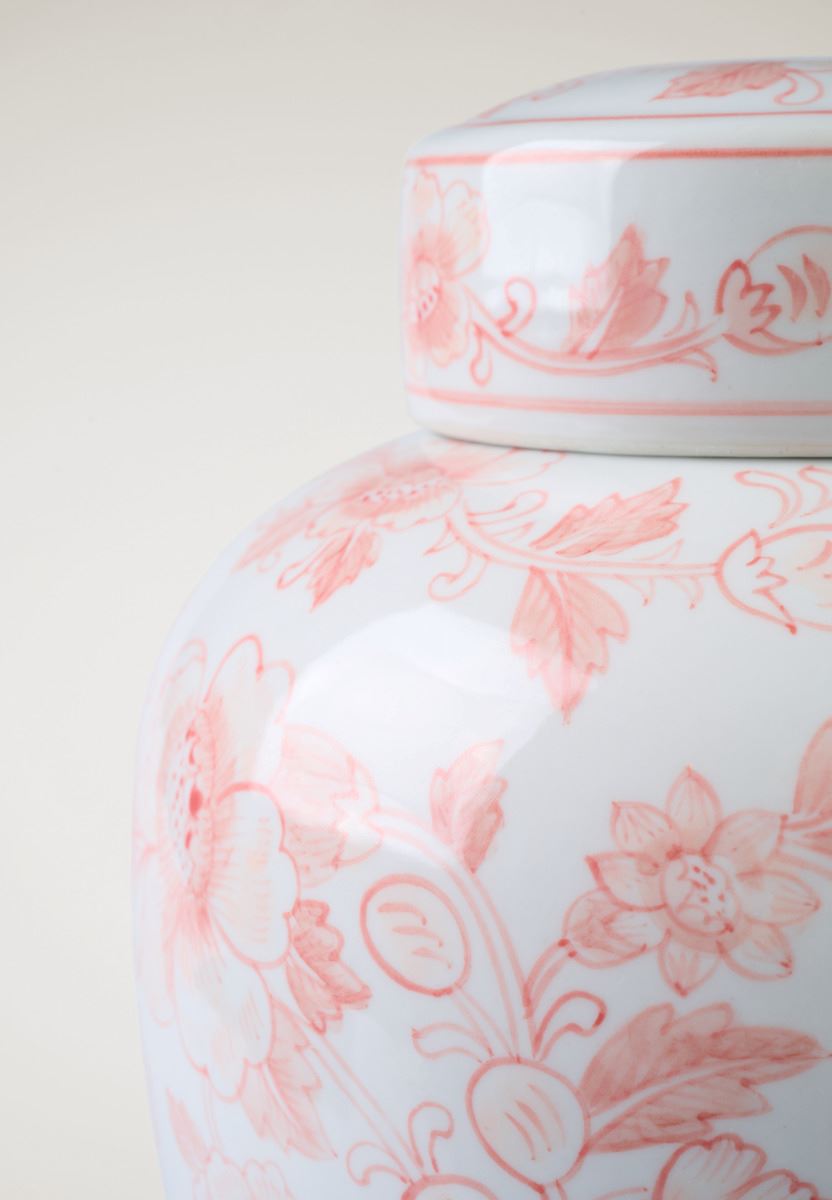 Prydnadskruka korall - 2