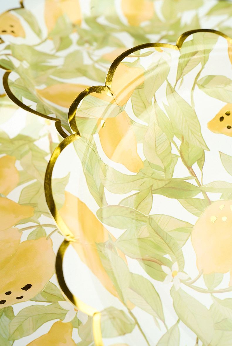 Papperstallrik 8pk multi/gul - 2