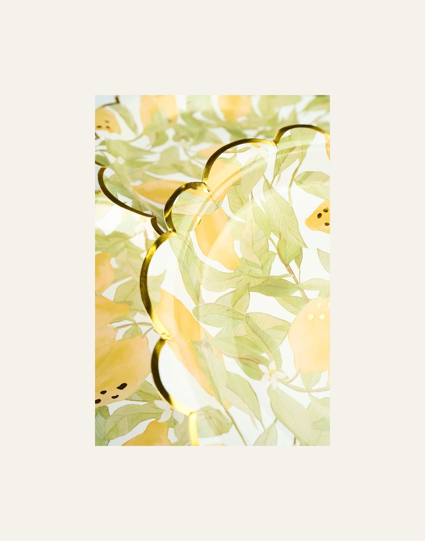 Papperstallrik 8pk multi/gul - 2