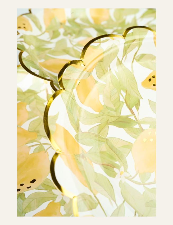 Papperstallrik 8pk multi/gul - 2