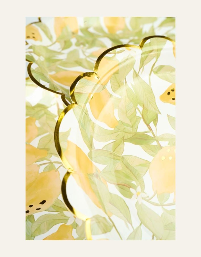 Papperstallrik 8pk multi/gul - 2