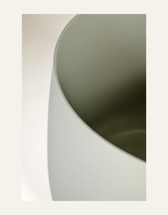 Utekruka grågön - 2