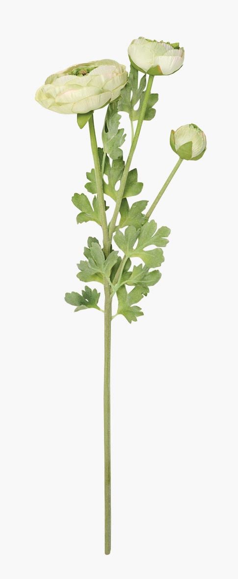 Blommor grön - 18x14x63,5 cm grön - 1