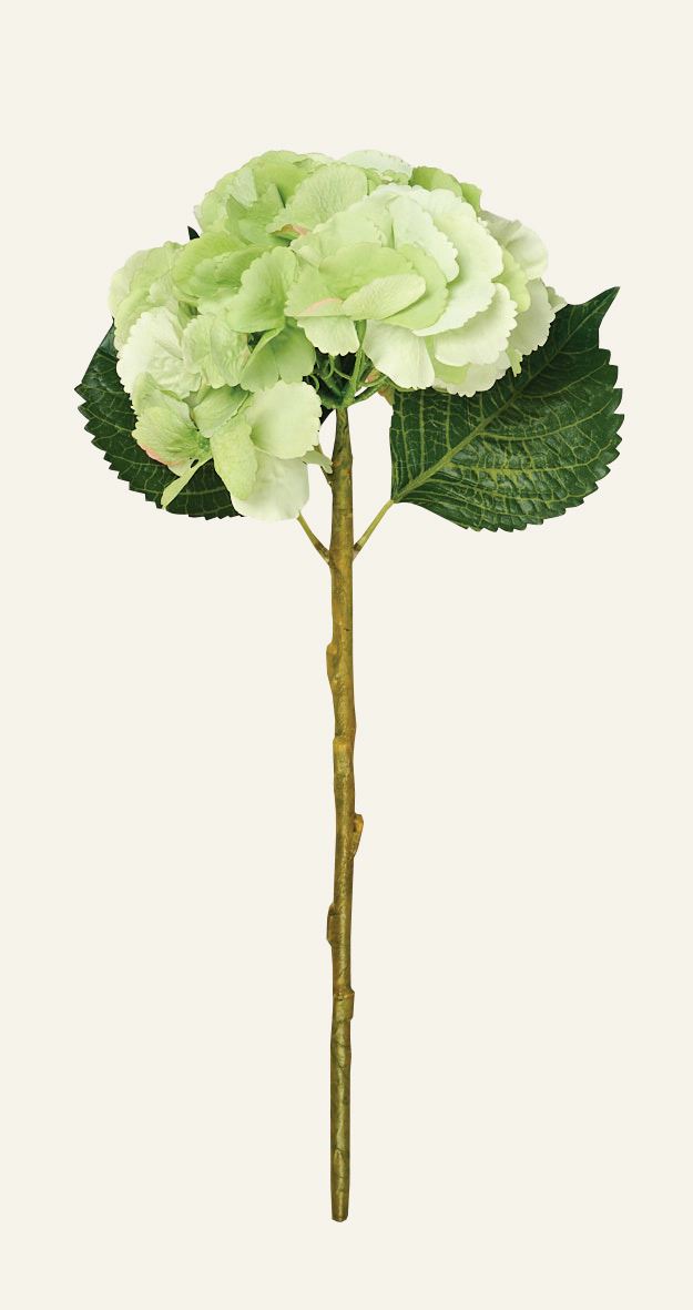 Hyndrangea S Konstgjord blomma grön - Hemtex