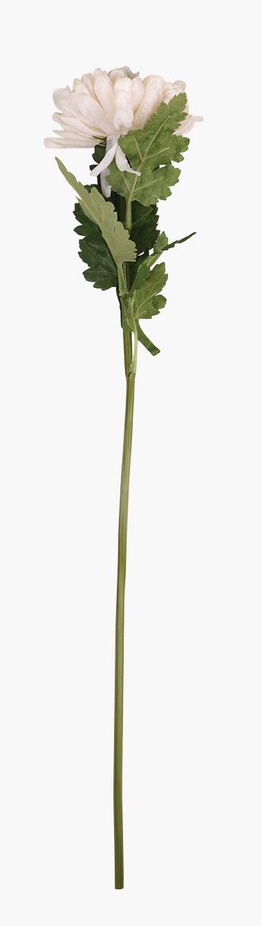 Konstgjord blomma vit - 19x17x71 cm vit - 1