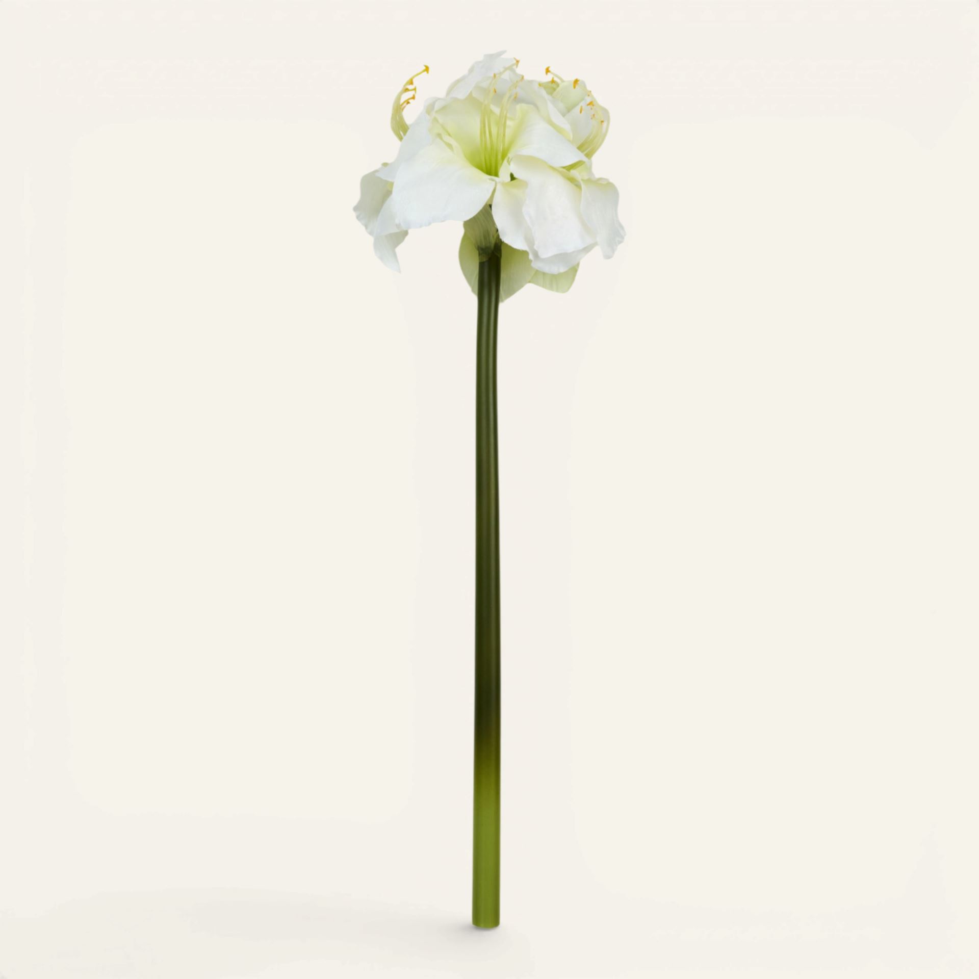 Konstgjord blomma vit - 25x22x61 cm vit - 1