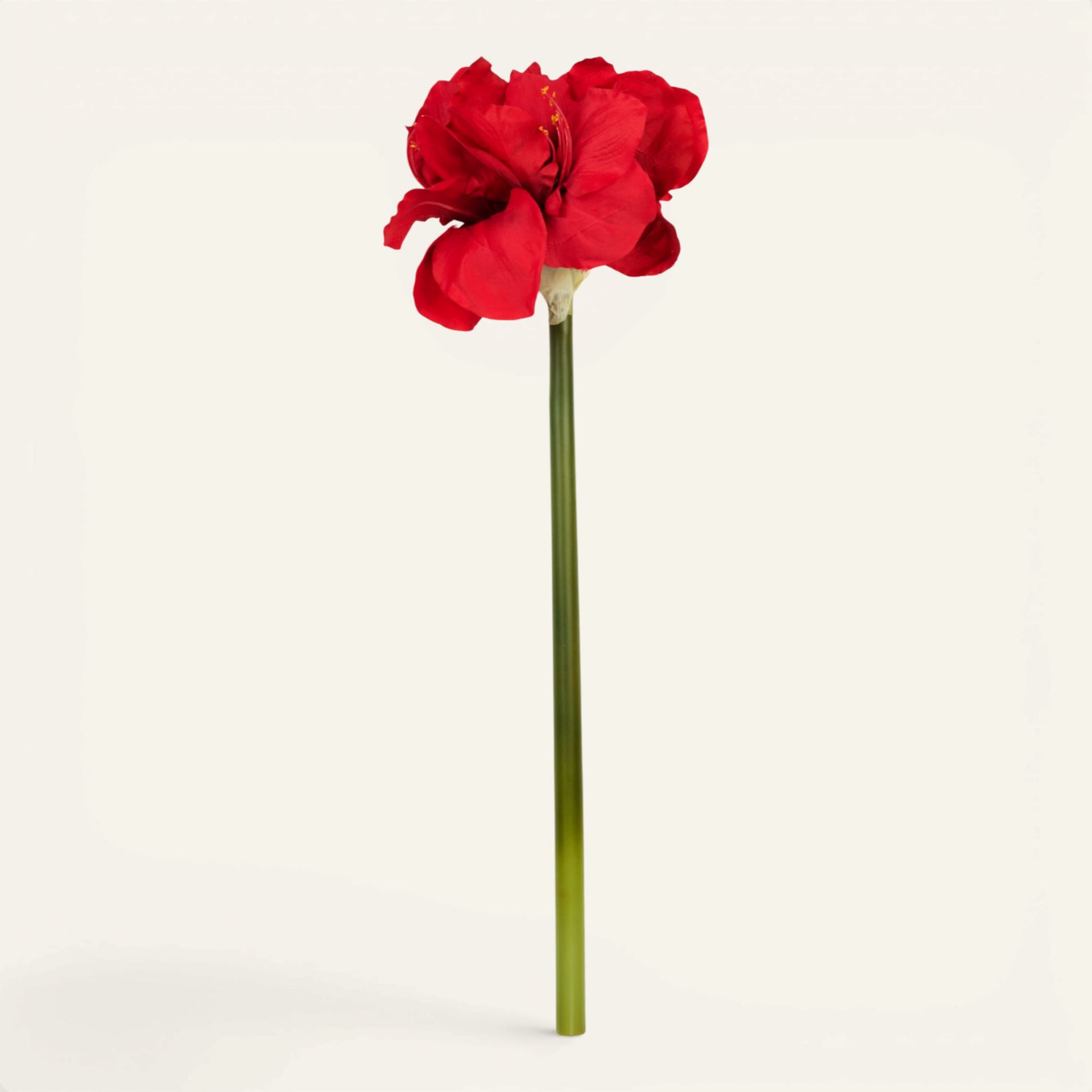 Konstgjord blomma röd - 25x22x61 cm röd - 1