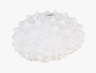 Hemtex | Kråkebolle Dekoration Vit 8,9x7,2x4,4 Cm