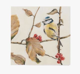Autumn birds pappersservetter multi