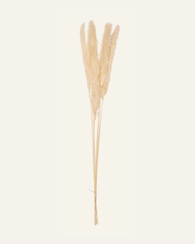 Torkat gräs natur - 70 cm natur - 1