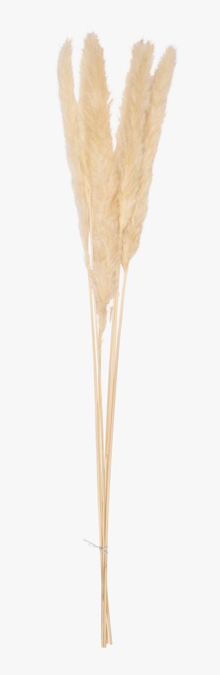 Pampas small halm natur