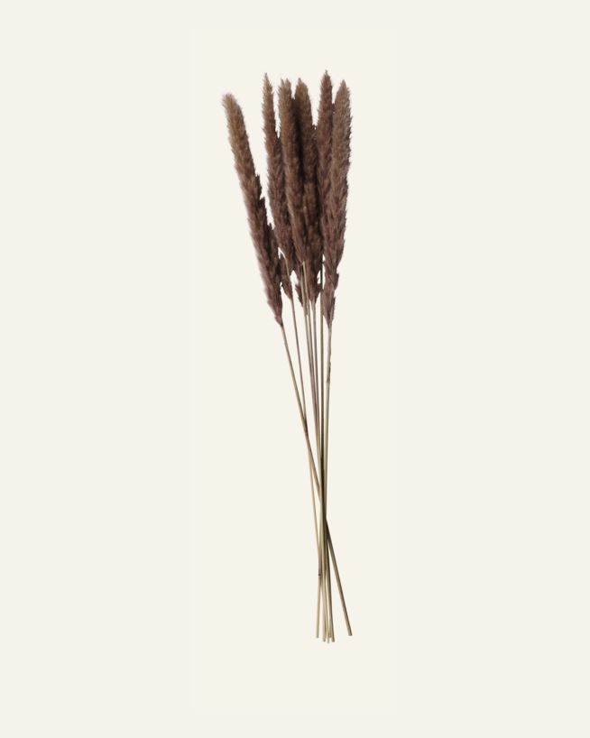 Torkat gräs mörk sand - 70 cm mörk sand - 1