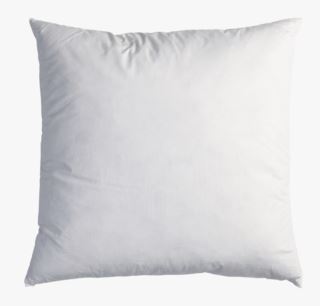 Hemtex | Feather Innerkudde Vit - 45x45 Cm