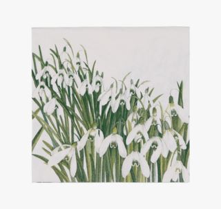 Snowdrops pappersservetter vit