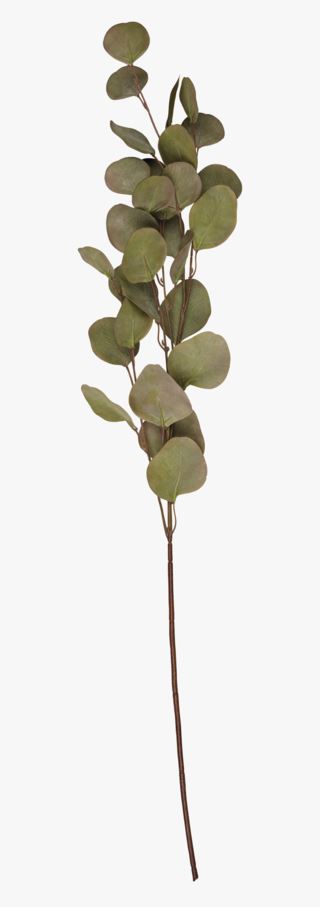 hemtex Eucalyptus big kvist grön