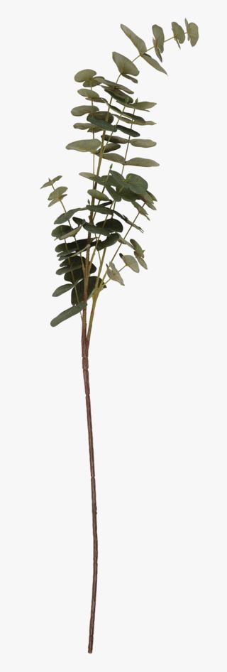 hemtex Eucalyptus kvist grön