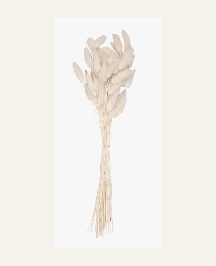 Torkat gräs vit - 35 cm vit - 1