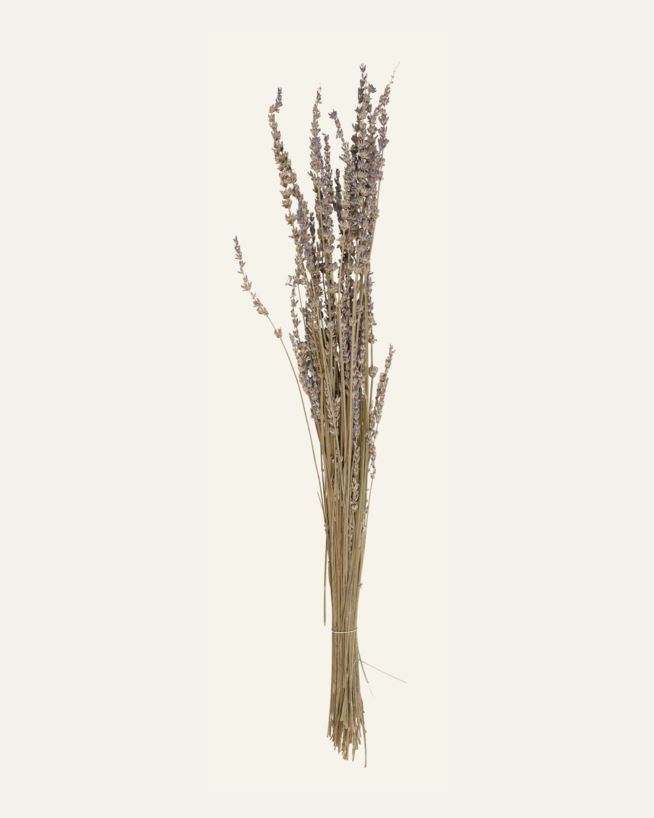 Torkat gräs lavendel - 60 cm lavendel - 1