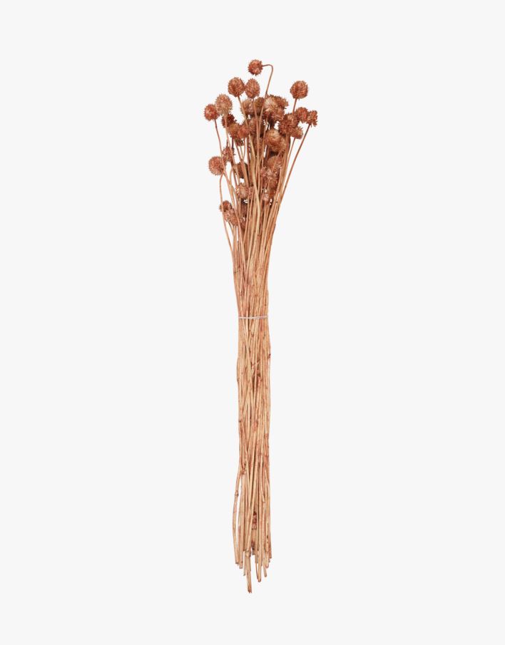 Torkat gräs rost - 70 cm rost - 1
