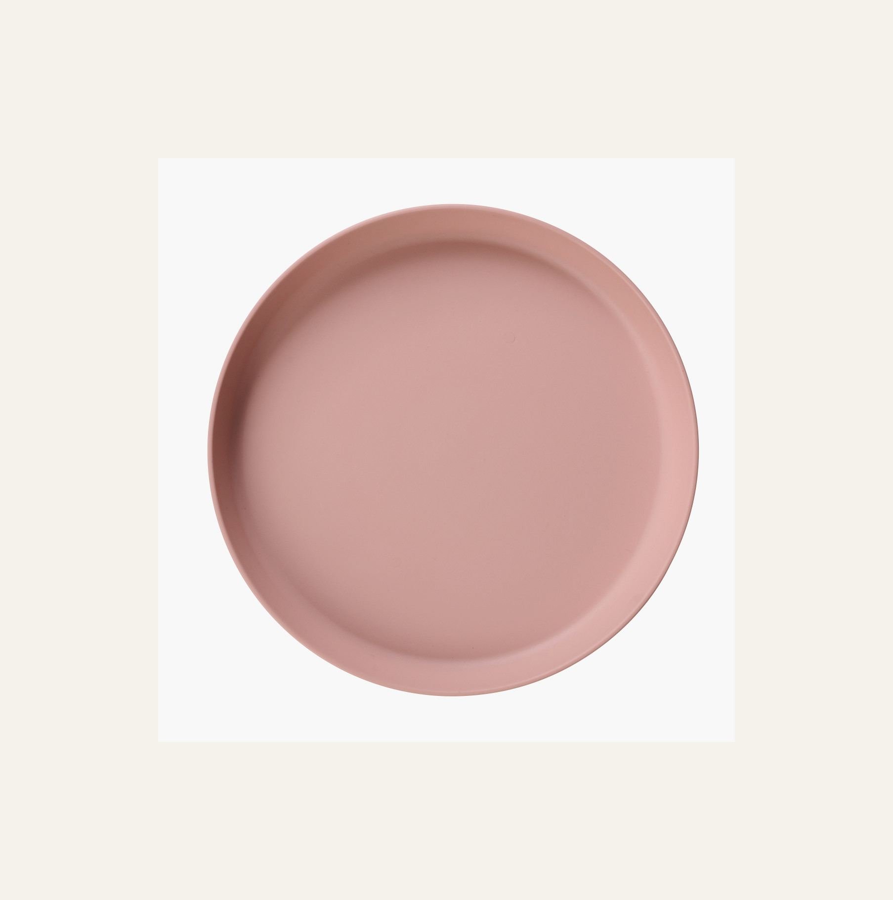 Utefat puderrosa - 2