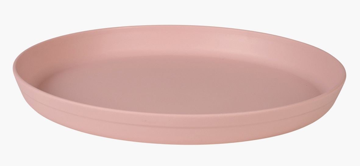 Utefat puderrosa - 4