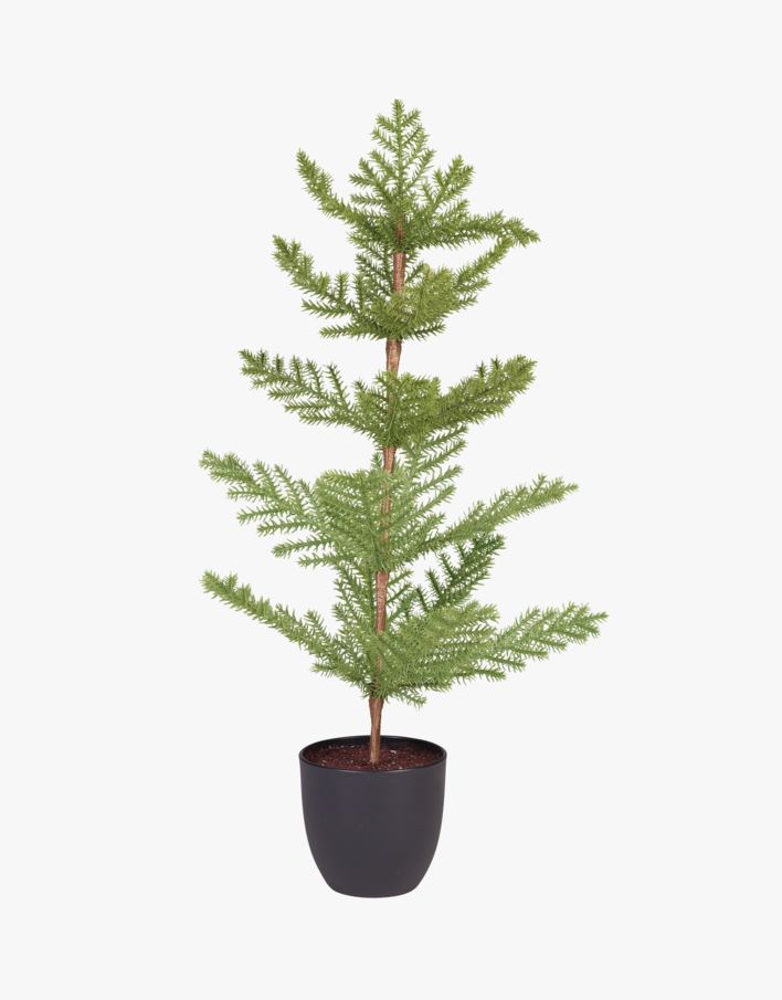 Foresta julgran grön - 35x35x75 cm grön - 1