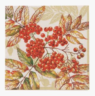 Fall Berries cocktailservett multi