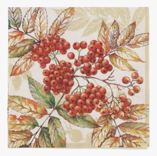 Fall Berries middagsservetter multi