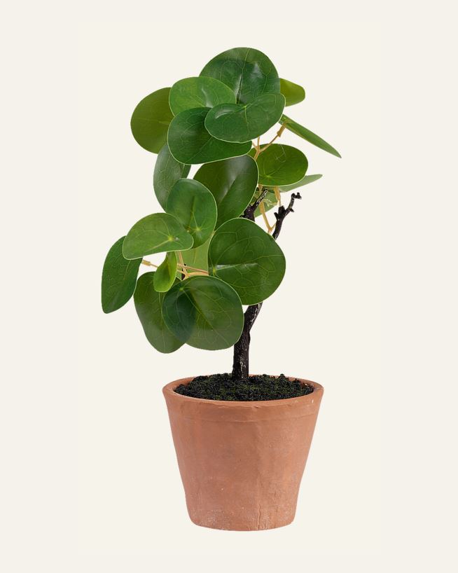 Konstgjord växt grön - 10x10x25 cm grön - 1