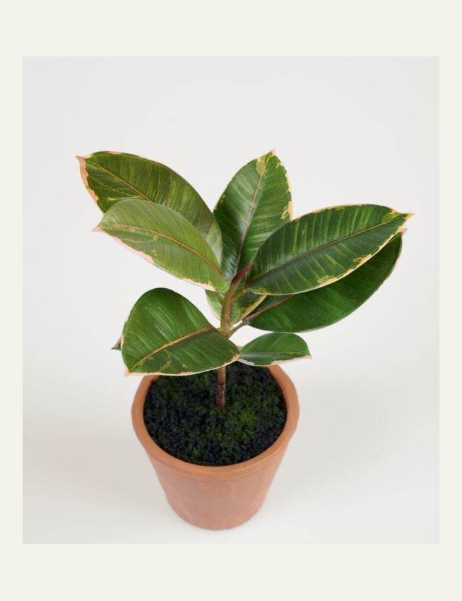 Konstgjord växt grön - 2