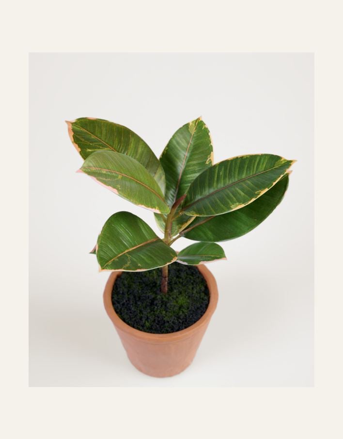 Konstgjord växt grön - 2