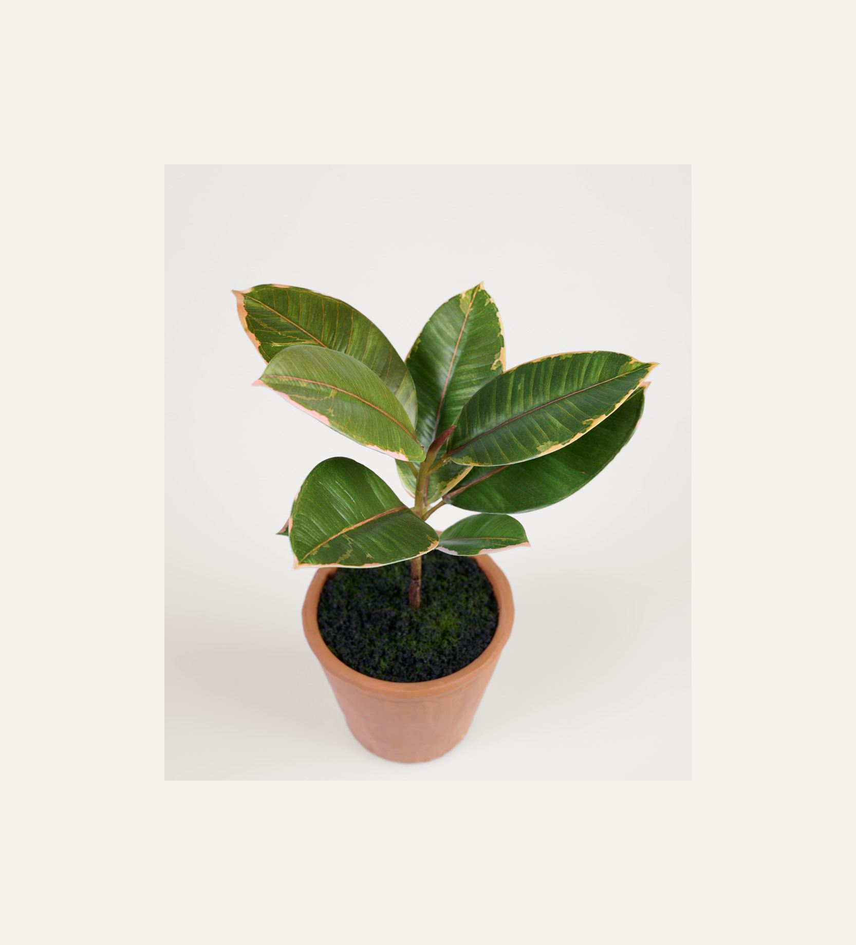 Konstgjord växt grön - 2