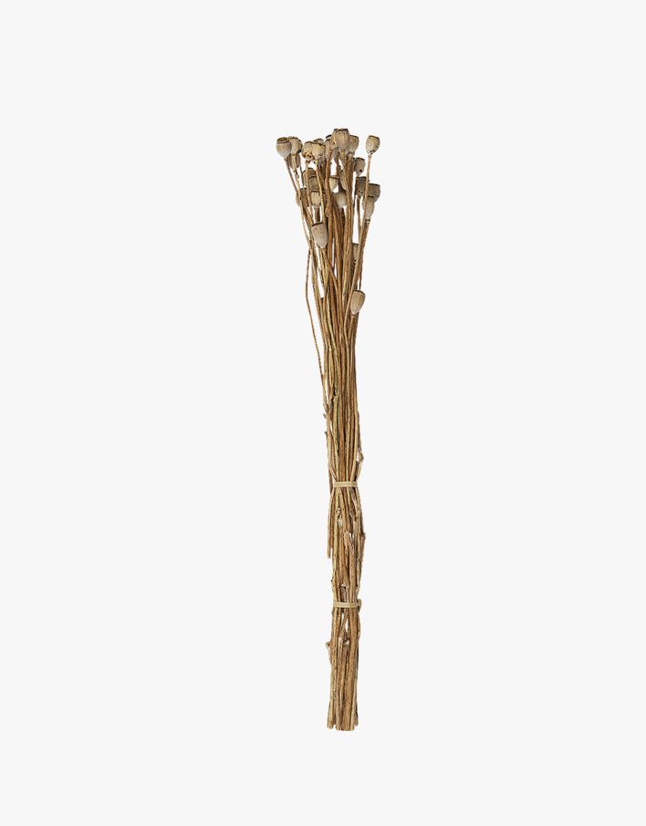 Torkade blommor natur - 45 cm natur - 1