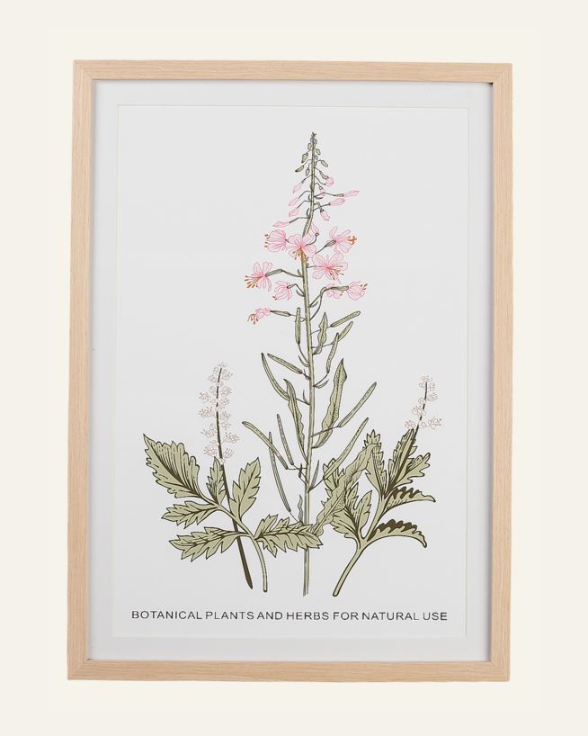 Tavla ljusrosa - 35x50 cm ljusrosa - 1