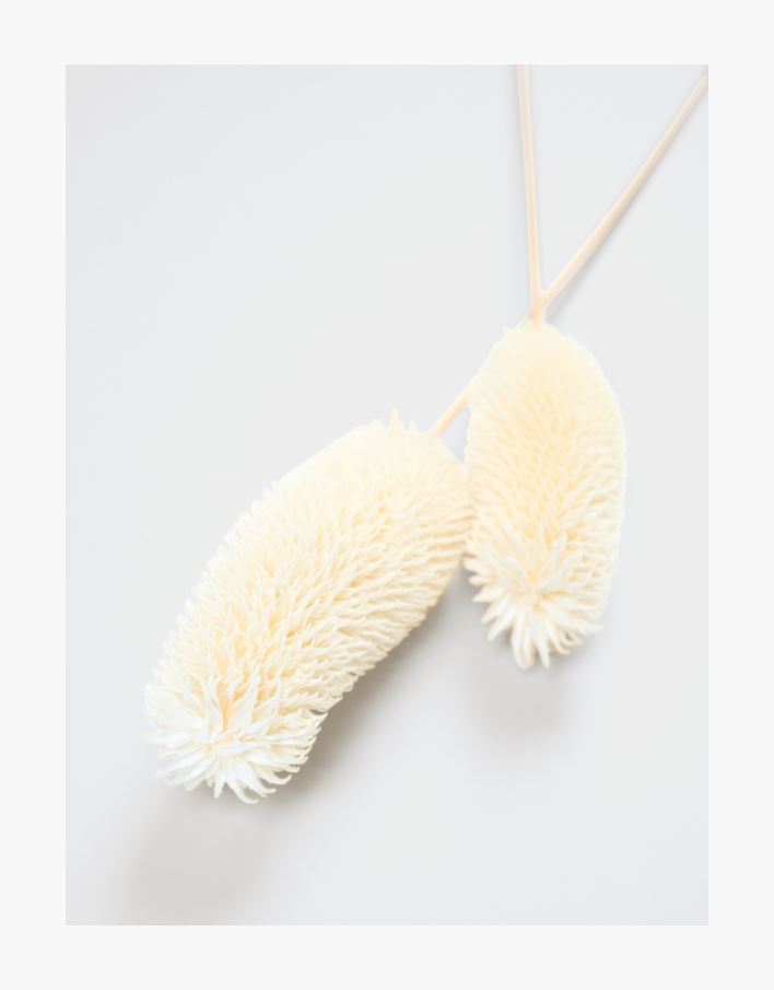 Torkade blommor offwhite - 73 cm offwhite - 1