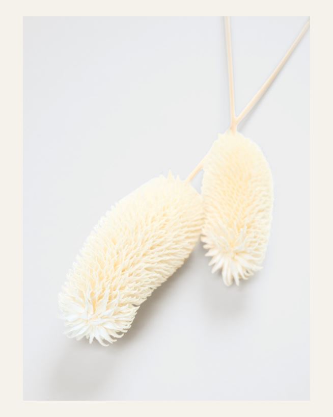 Torkade blommor offwhite - 73 cm offwhite - 1