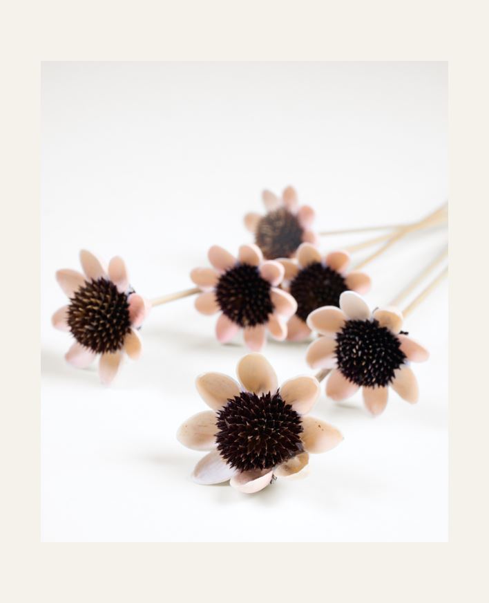 Torkade blommor rosa - 65 cm rosa - 1