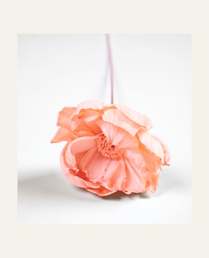 Torkade blommor korall - 60 cm korall - 1