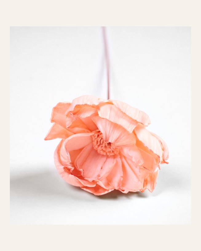 Torkade blommor korall - 60 cm korall - 1