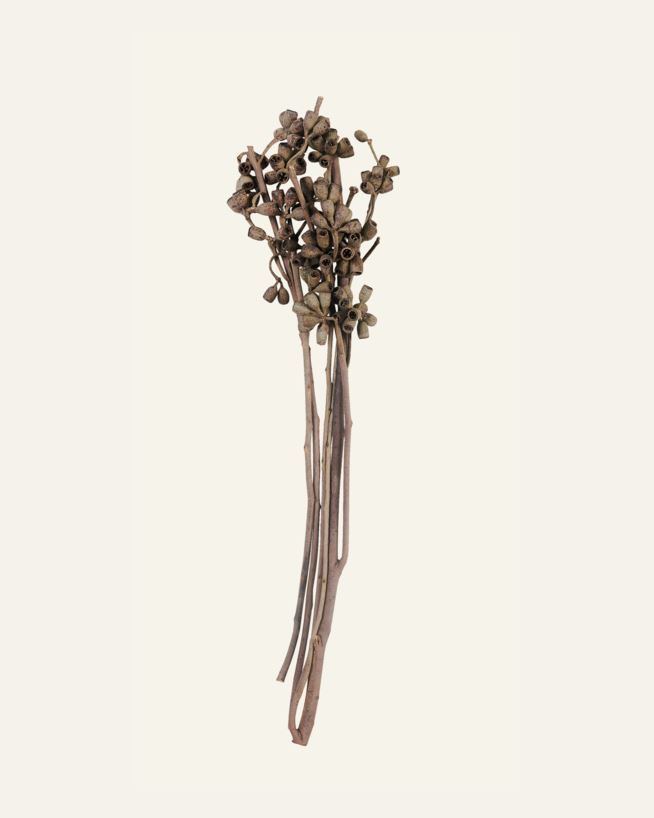 Bukett natur - 30 cm natur - 1