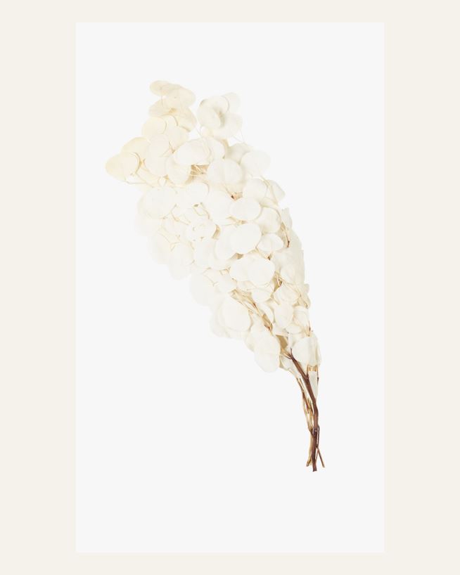 Kvist offwhite - 65 cm offwhite - 1