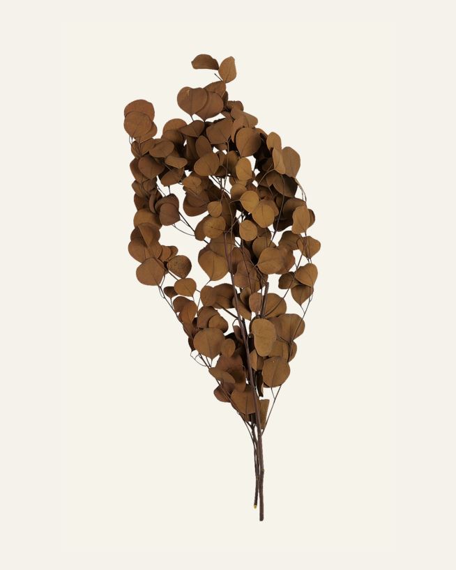 Kvist brun - 70 cm brun - 1
