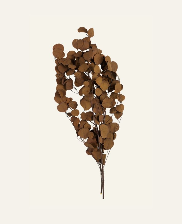 Kvist brun - 70 cm brun - 1