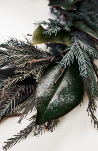 Evergreen krans grön