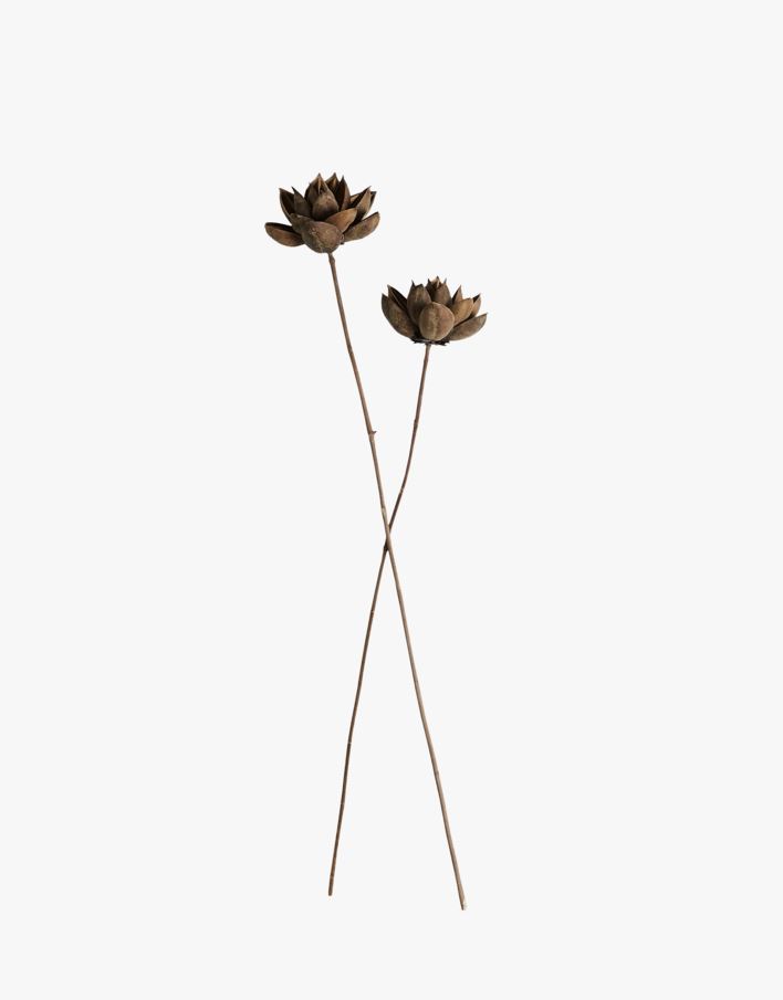 Torkade blommor brun - 60 cm brun - 1
