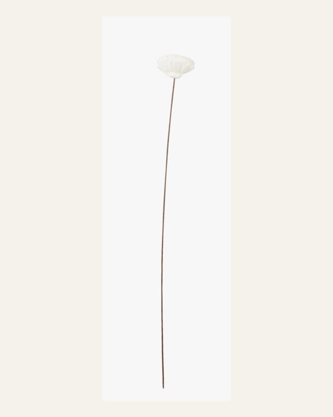 Torkade blommor offwhite - 63 cm offwhite - 1