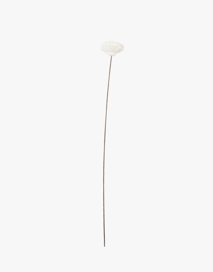Torkade blommor offwhite - 63 cm offwhite - 1