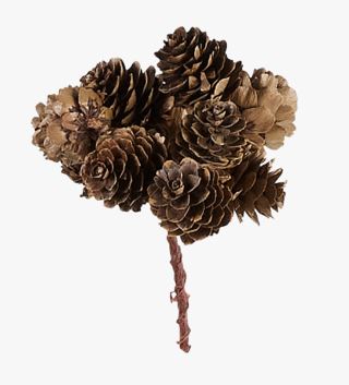 hemtex Cone bouquet dekoration brun