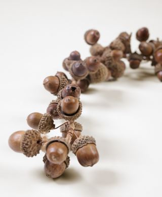 Acorn mini girlanger brun
